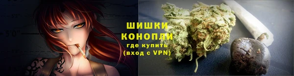 гидра Лагань