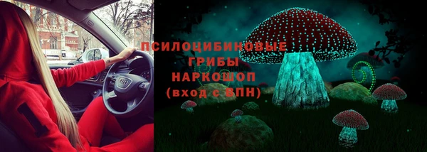 гидра Лагань