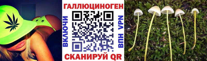 купить Таганрог Псилоцибиновые грибы ЛСД