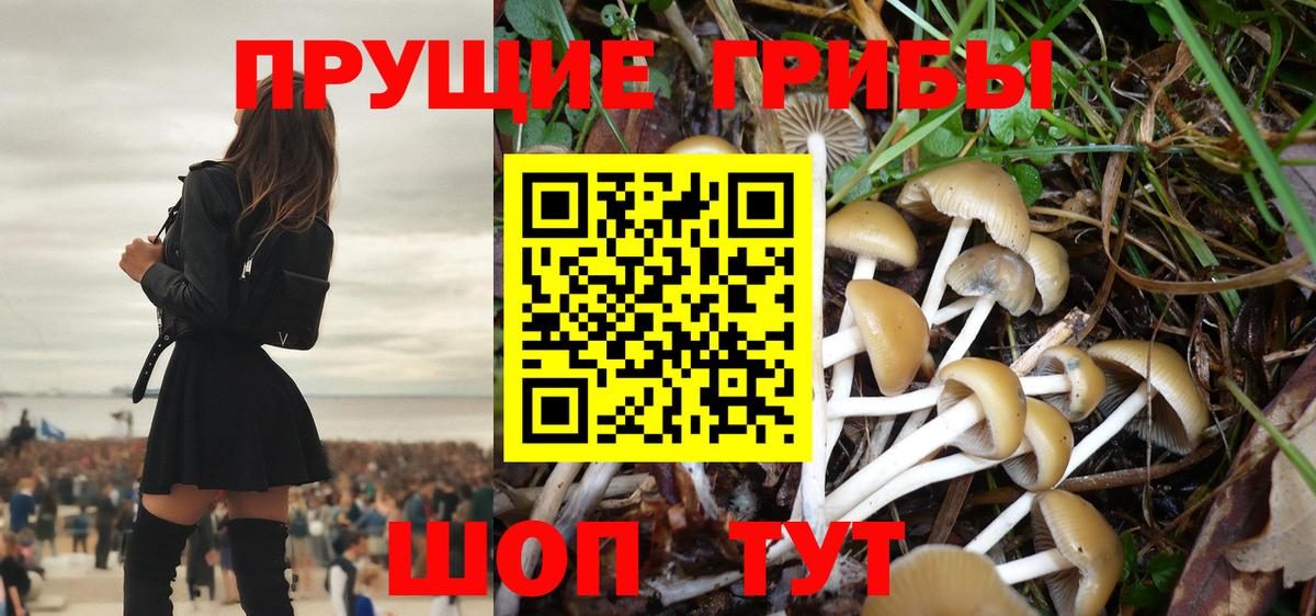 Псилоцибиновые грибы мицелий Таганрог