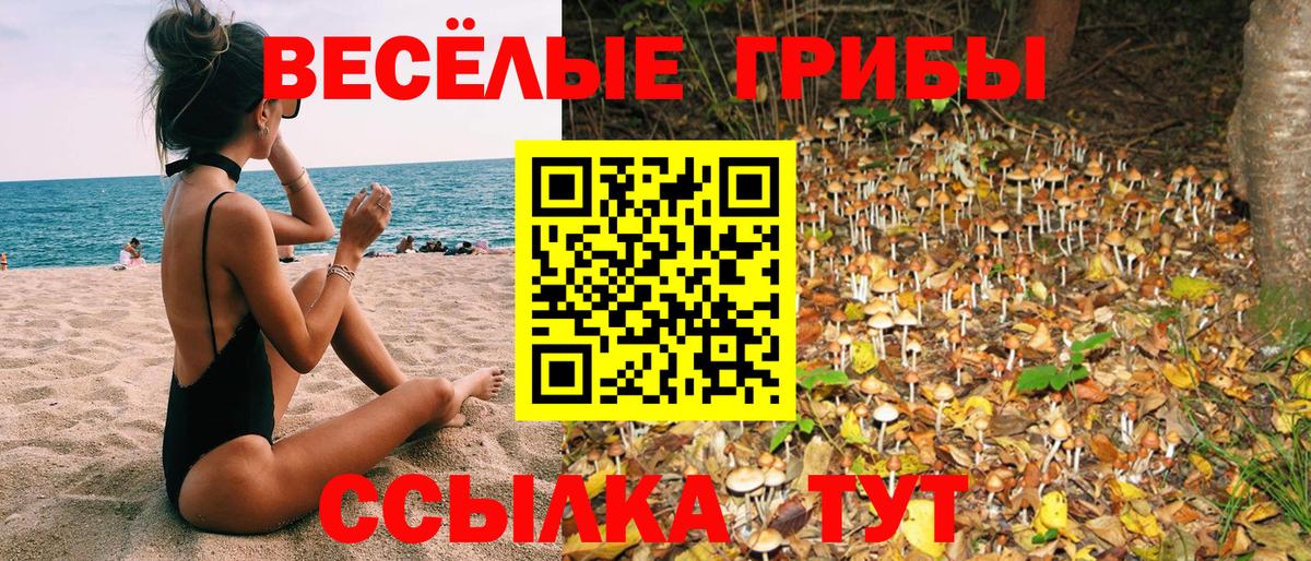 Галлюциногенные грибы прущие грибы  Вход с VPN  Псилоцибиновые грибы мицелий  Таганрог 
